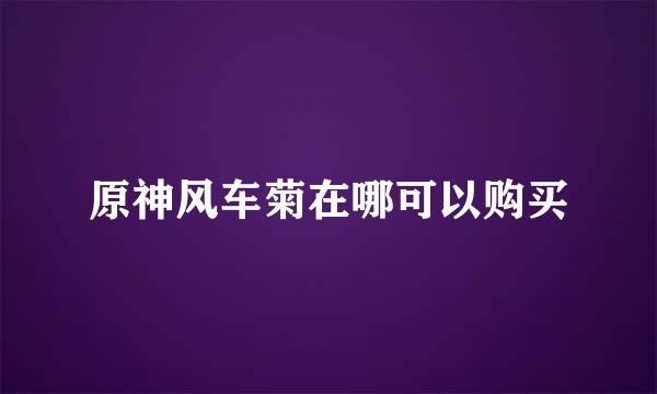 原神风车菊在哪可以购买