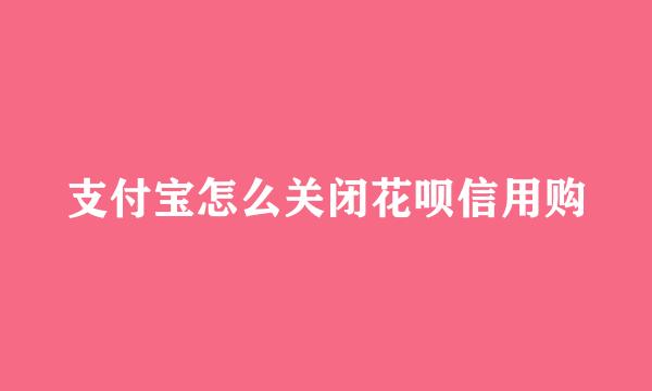 支付宝怎么关闭花呗信用购