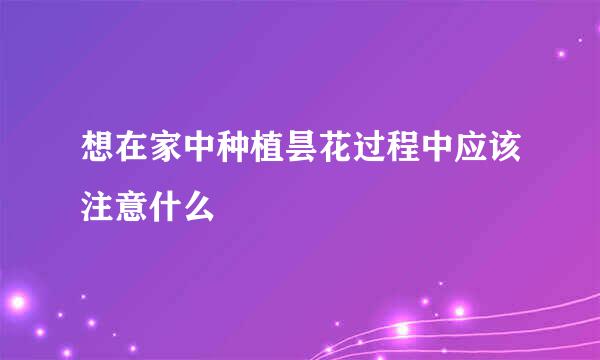 想在家中种植昙花过程中应该注意什么