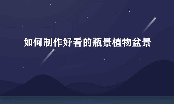 如何制作好看的瓶景植物盆景