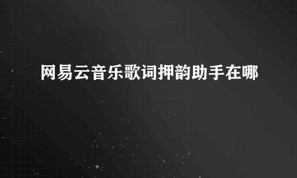 网易云音乐歌词押韵助手在哪