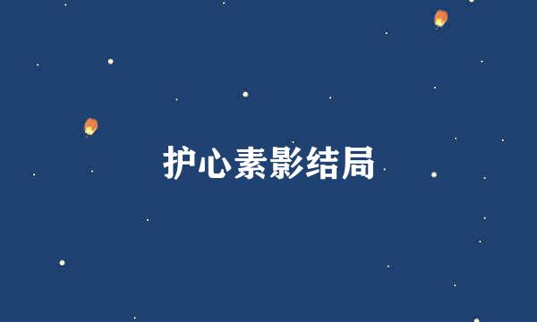 护心素影结局