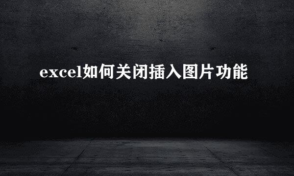 excel如何关闭插入图片功能