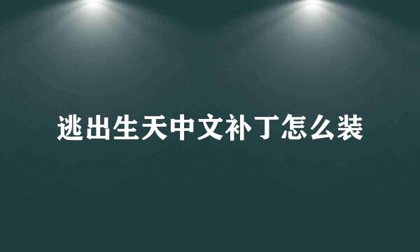 逃出生天中文补丁怎么装