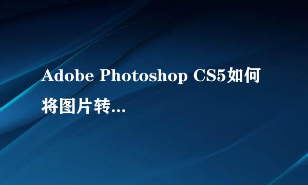 Adobe Photoshop CS5如何将图片转换成黑白