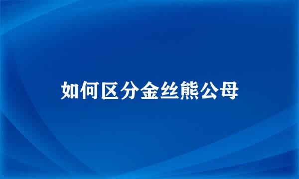 如何区分金丝熊公母