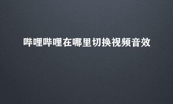 哔哩哔哩在哪里切换视频音效
