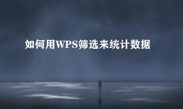 如何用WPS筛选来统计数据