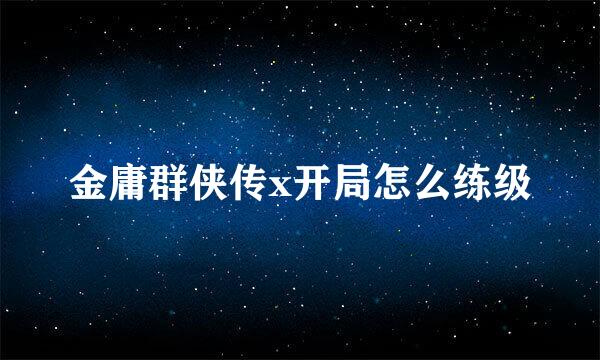 金庸群侠传x开局怎么练级