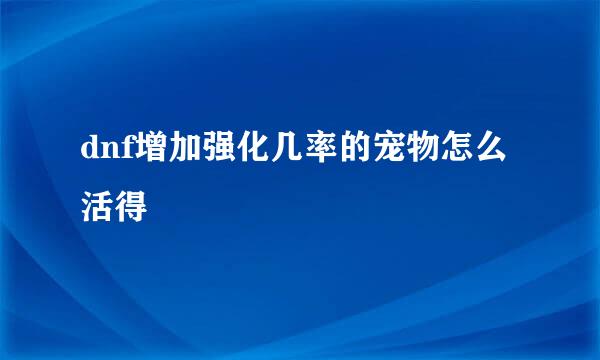 dnf增加强化几率的宠物怎么活得