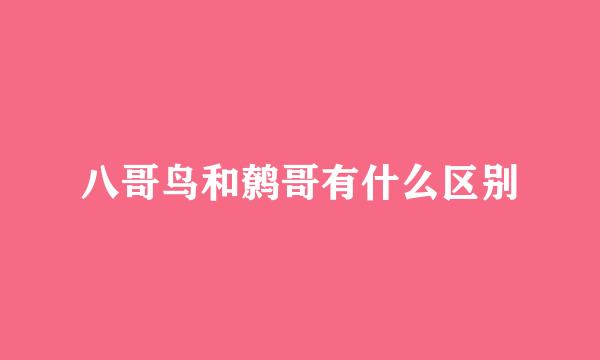 八哥鸟和鹩哥有什么区别