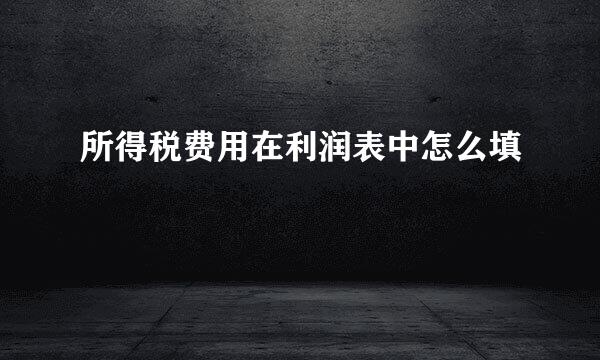 所得税费用在利润表中怎么填