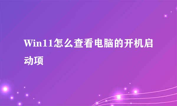 Win11怎么查看电脑的开机启动项