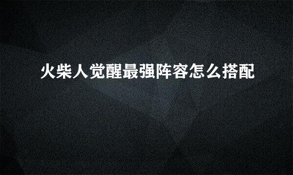 火柴人觉醒最强阵容怎么搭配