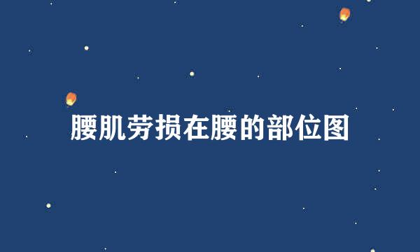 腰肌劳损在腰的部位图