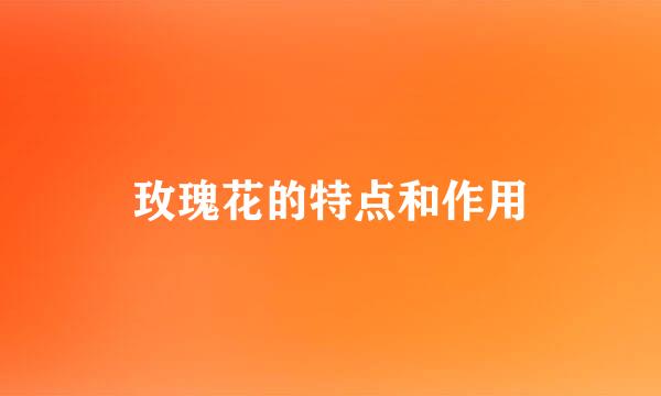 玫瑰花的特点和作用