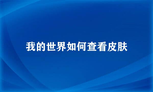 我的世界如何查看皮肤