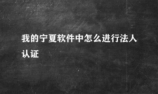 我的宁夏软件中怎么进行法人认证