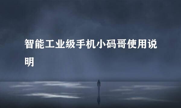 智能工业级手机小码哥使用说明