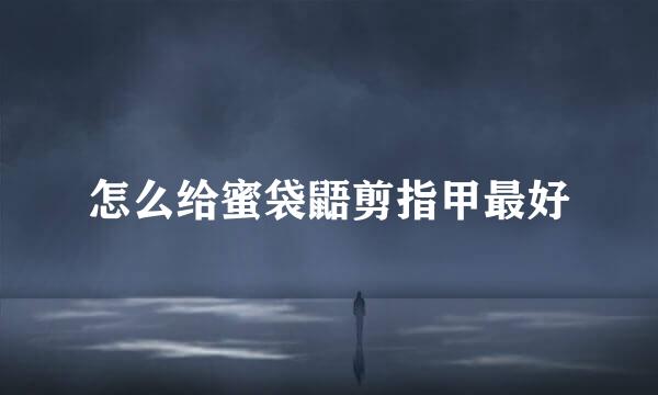 怎么给蜜袋鼯剪指甲最好