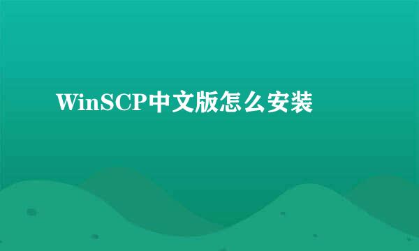 WinSCP中文版怎么安装