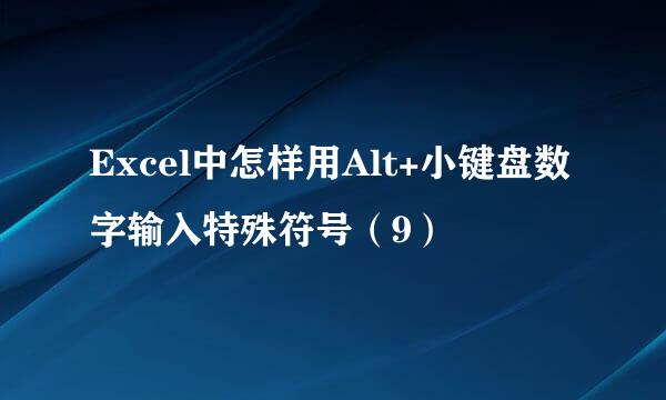 Excel中怎样用Alt+小键盘数字输入特殊符号（9）