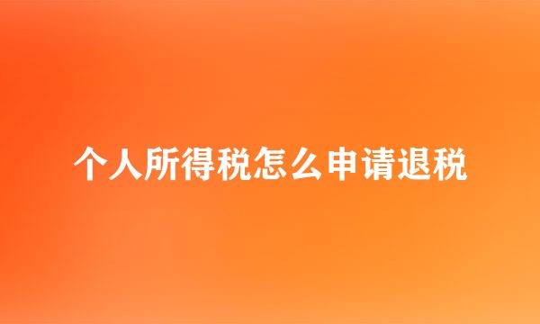 个人所得税怎么申请退税