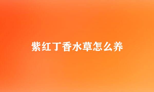 紫红丁香水草怎么养