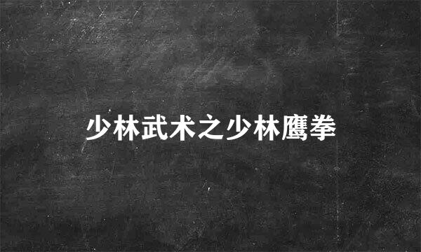 少林武术之少林鹰拳