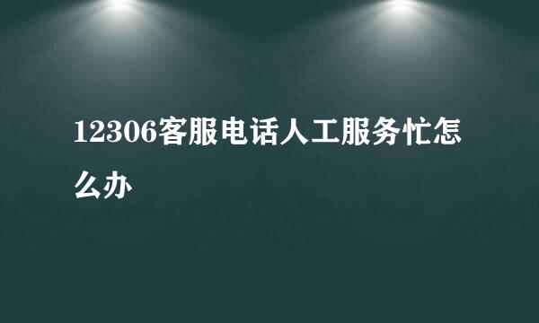 12306客服电话人工服务忙怎么办
