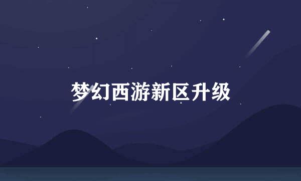 梦幻西游新区升级