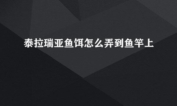 泰拉瑞亚鱼饵怎么弄到鱼竿上
