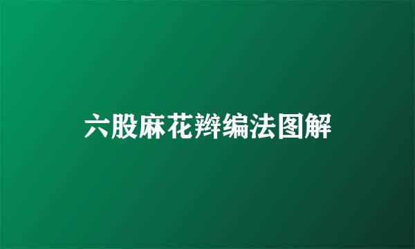 六股麻花辫编法图解