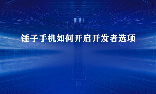 锤子手机如何开启开发者选项