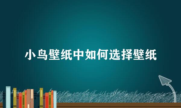 小鸟壁纸中如何选择壁纸