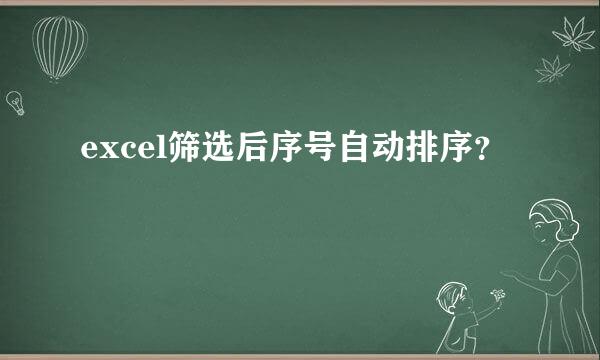 excel筛选后序号自动排序？
