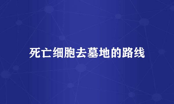 死亡细胞去墓地的路线