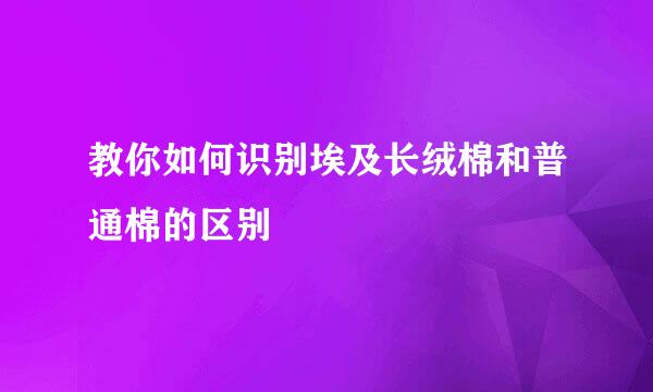 教你如何识别埃及长绒棉和普通棉的区别