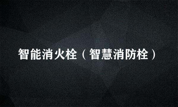 智能消火栓（智慧消防栓）
