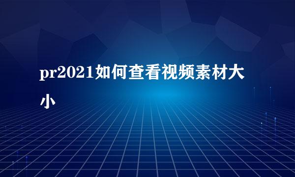 pr2021如何查看视频素材大小