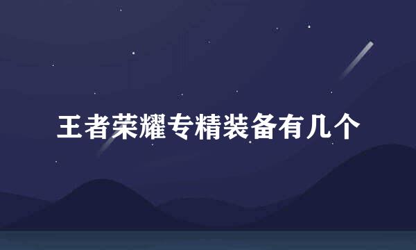 王者荣耀专精装备有几个