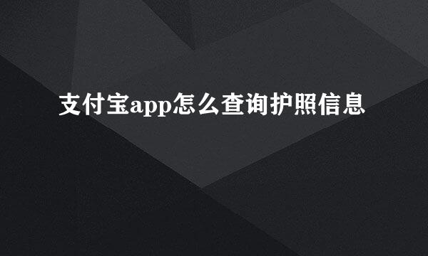支付宝app怎么查询护照信息