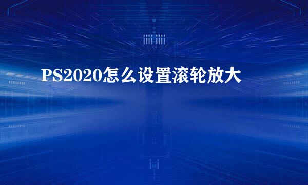 PS2020怎么设置滚轮放大