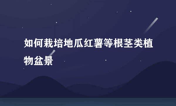 如何栽培地瓜红薯等根茎类植物盆景