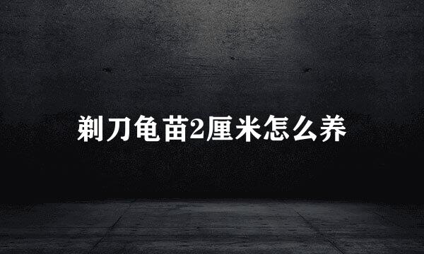 剃刀龟苗2厘米怎么养