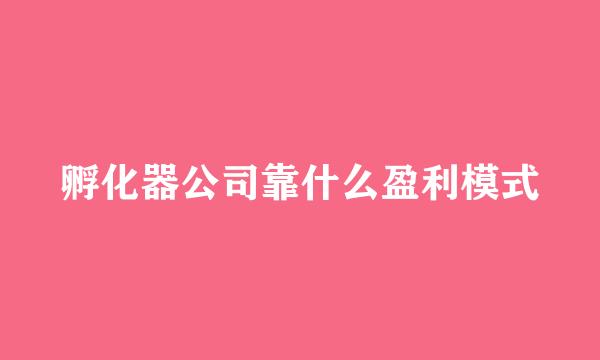孵化器公司靠什么盈利模式