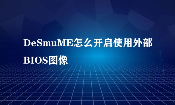 DeSmuME怎么开启使用外部BIOS图像