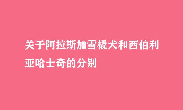 关于阿拉斯加雪橇犬和西伯利亚哈士奇的分别