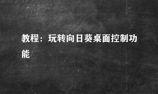 教程：玩转向日葵桌面控制功能