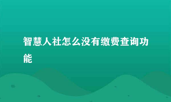 智慧人社怎么没有缴费查询功能